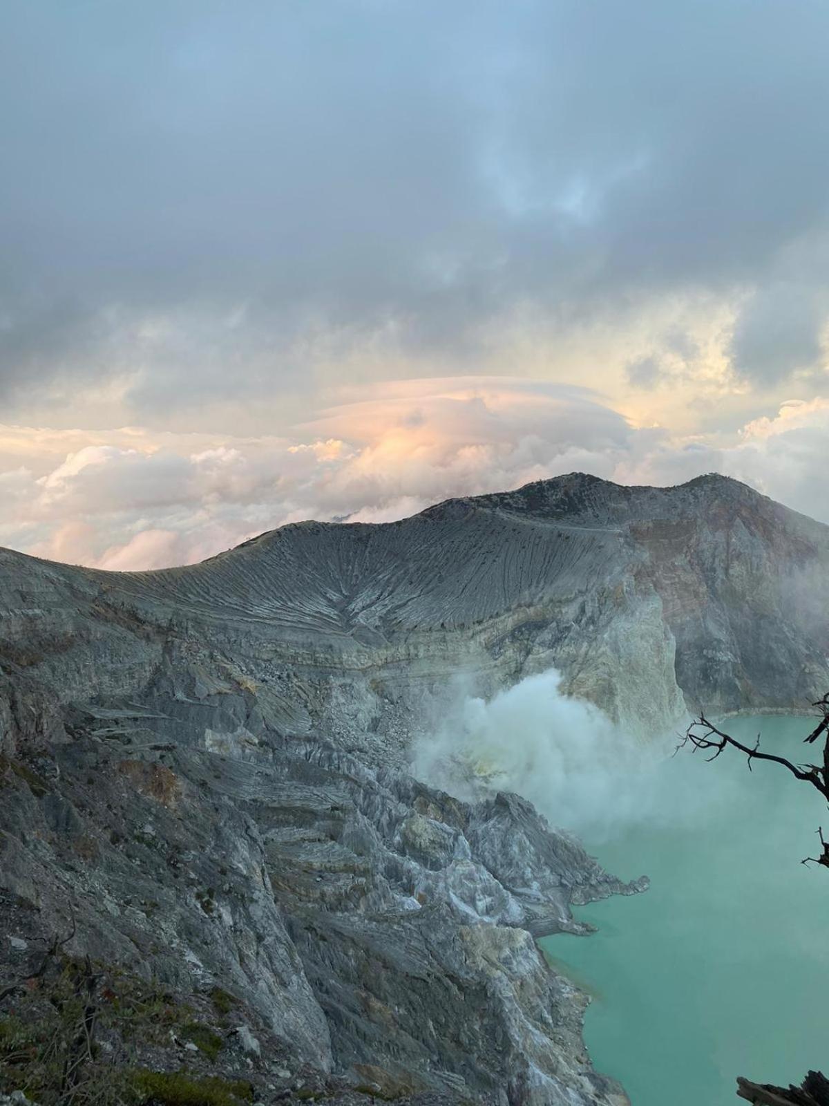 Wangi Homestay Banyuwangi  Dış mekan fotoğraf
